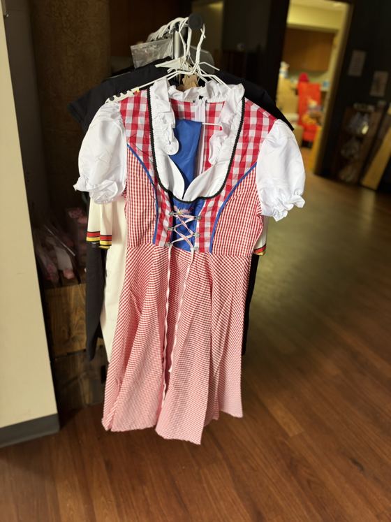 Red gingham dirndl dress with a blue apron on a hanger