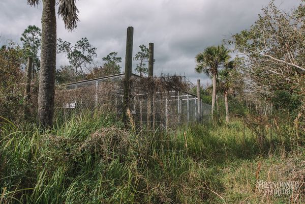 Fenced animal pens overgrown with grass and palms at the abandoned Jungleland Zoo