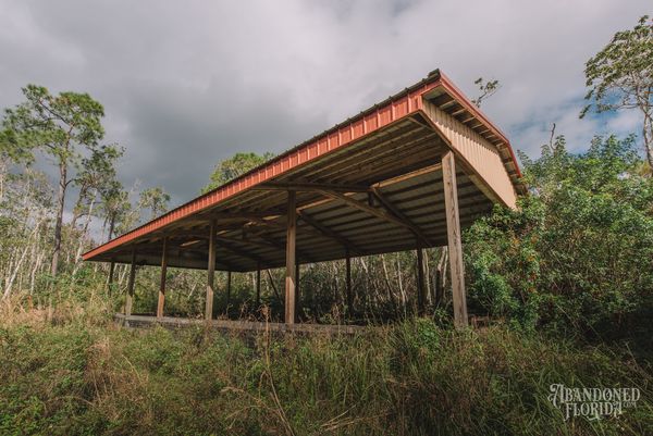 Red-roofed open pavilion standing in tall grass on the abandoned zoo grounds