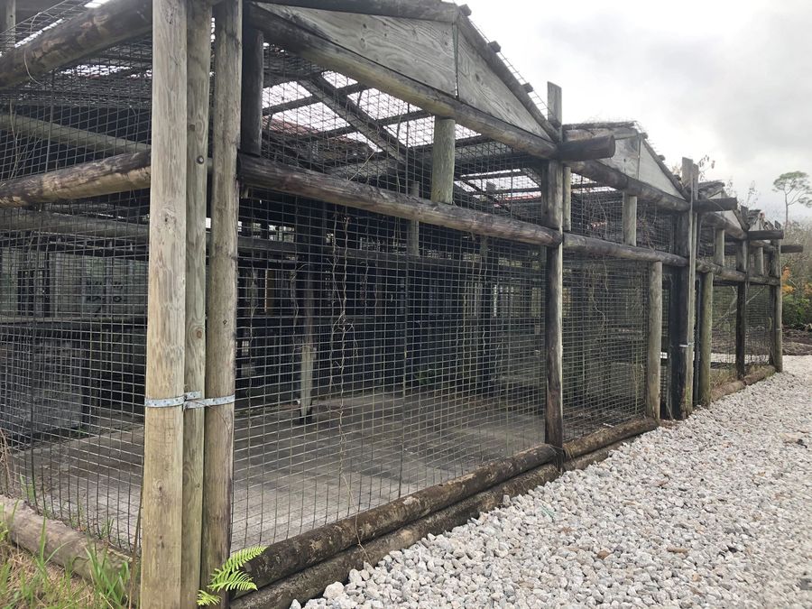 A row of the old Jungleland big-cat cages behind the park