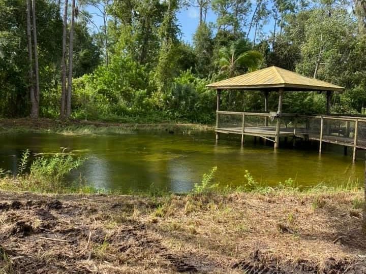 The old gator pit before restoration